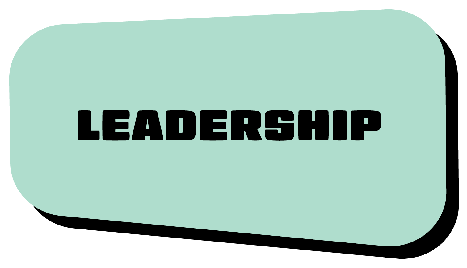 Leadership